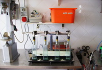 SABATO 25 MAGGIO ore 10:00 L’EVENTO “MORLUPO CITTÁ DELL’OLIO”