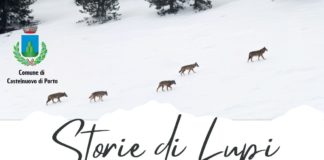STORIE DI LUPI – INCONTRO DEDICATO AL LUPO, TRA RACCONTO, ILLUSTRAZIONE E NATURA
