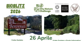 𝐃𝐨𝐦𝐞𝐧𝐢𝐜𝐚 𝟐𝟔 𝐚𝐩𝐫𝐢𝐥𝐞 𝐄𝐯𝐞𝐧𝐭𝐨 𝐝𝐢𝐮𝐫𝐧𝐨 “𝐂𝐈𝐓𝐈𝐙𝐄𝐍 𝐒𝐂𝐈𝐄𝐍𝐙𝐄” – 𝐁𝐢𝐨𝐛𝐥𝐢𝐭𝐳 𝟐𝟎𝟐𝟔: 𝐋𝐚 𝐒𝐜𝐢𝐞𝐧𝐳𝐚 𝐃𝐢𝐯𝐞𝐧𝐭𝐚 𝐏𝐚𝐫𝐭𝐞𝐜𝐢𝐩𝐚𝐭𝐢𝐯𝐚 𝐚𝐥 𝐏𝐚𝐫𝐜𝐨 𝐝𝐢 𝐕𝐄𝐈𝐎!